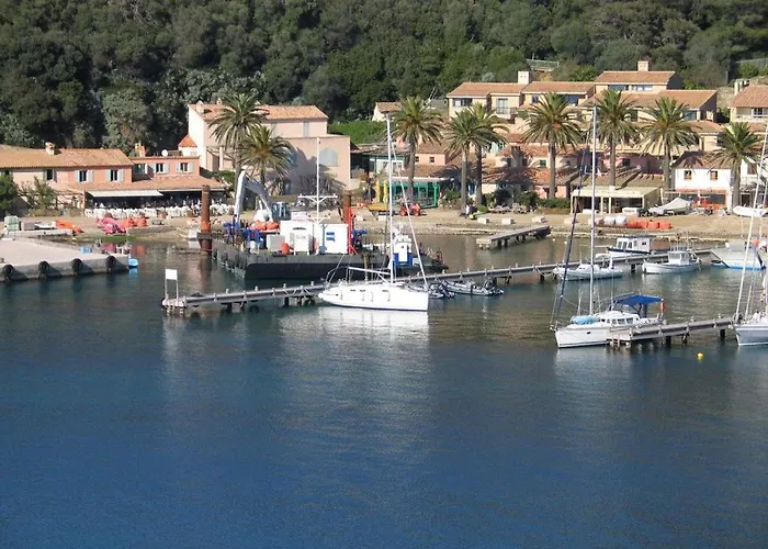 Flat * Bormes-les-Mimosas